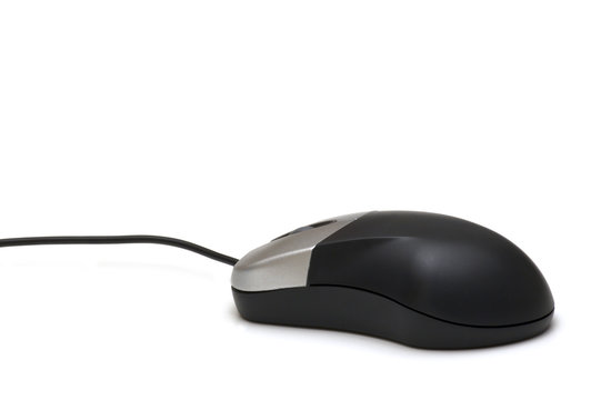 mouse on white background