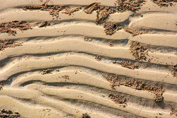 A closeup of patterns in the sand