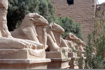 sheeps statues  at Karnak Temple in Luxor