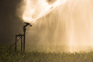 arrosage dans l'agriculture