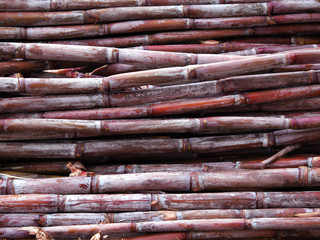 Sugarcanes at the juice station in Madeira Island