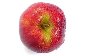 Single Apple