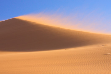 Fototapeta na wymiar Dune na wietrze