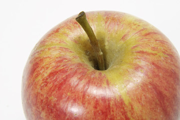 Gala Apple