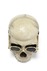 Skull with sun glasses