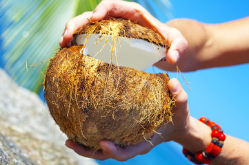opening paradise
