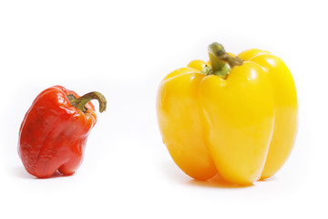 Paprika