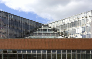 University of Cambridge, faculty of history