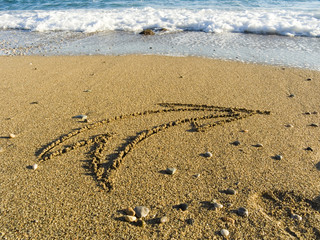 arrow on wet sea sand