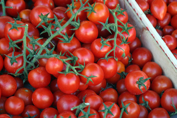 Cherry Tomatoes, Campo De'Fiori, Rome