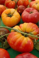 Heirloom Tomatos