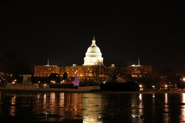 Fototapeta premium US Capitol Building
