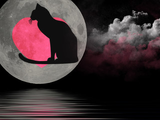 Cat In The Moon