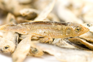 salt sprat
