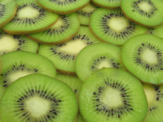 Fototapeta premium kiwi