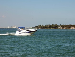 White Blue and Gold Cabin Cruiser