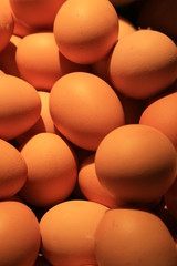 oeufs