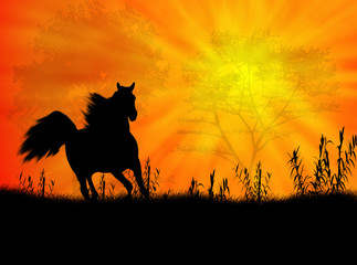 Paesaggio con cavallo © Guilu