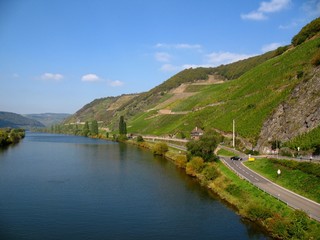 Fototapeta na wymiar Moselle z winnicami