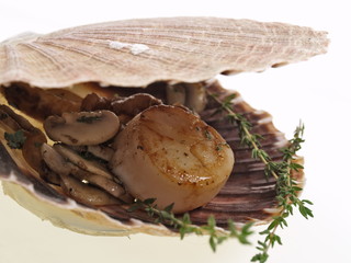 gebratene jakobsmuscheln mit pfifferlingen