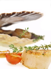 gebratene jakobsmuscheln mit pfifferlingen