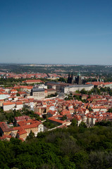 Obraz premium Saint Vitus's Cathedral, Prague Castle and old town view