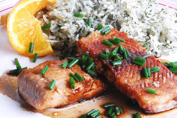 food-salmon fish, rice