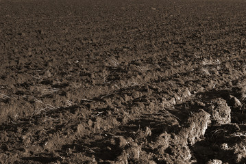 The ploughed field