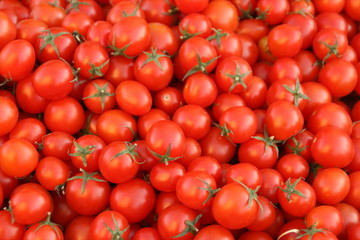 Tomaten