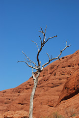 Valley of the winds