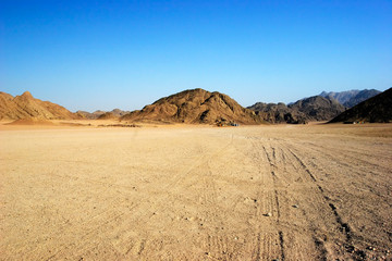 egyptian desert