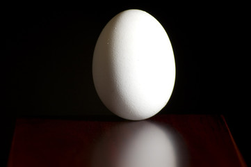 Egg with Reflection