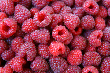 sweet red raspberries