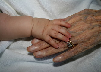 old and young holding hands - 5191250