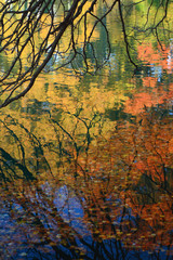 Autumn reflections in the water