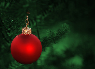 Christmas tree ornamented with a red bauble