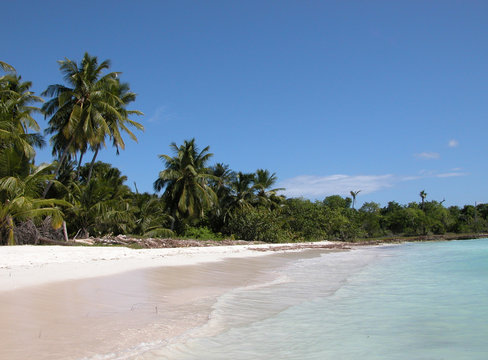 Playa de Isla Saona. Republica Dominicana