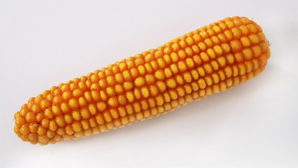 Corn cob
