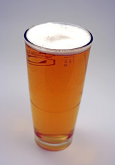Glass of Cold Beer with Foamy Head Isolated on Neutral Background