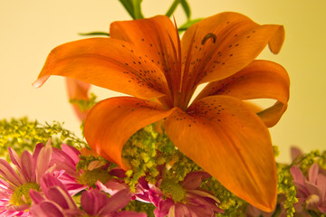 Bouquet © Pascal Péchard