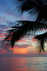 Tropischer Sonnenuntergang