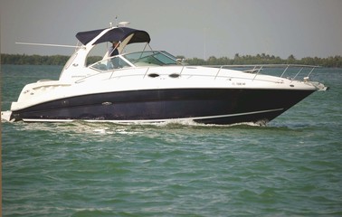 White and Black Cabin Cruiser