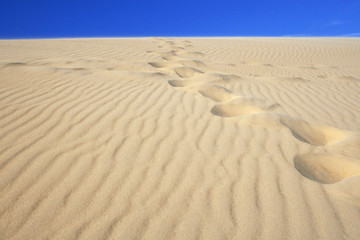 Fototapeta na wymiar Sand Dune Landscape