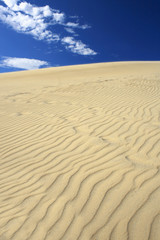Fototapeta na wymiar Sand Dunes Vertical View
