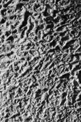 Abstract bw wall texture