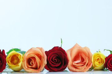Red, yellow, peach color roses lined up. Type space above 