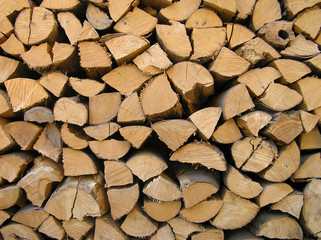 Geschlagenes Holz