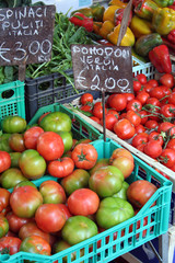 Crate of Tomatoes, Campo De'Fiori, Rome