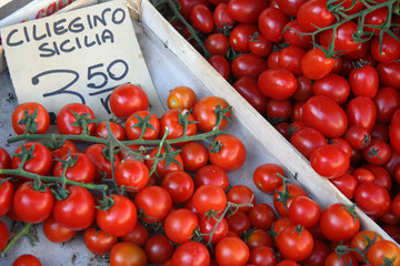 Cherry Tomatoes, Campo De'Fiori, Rome