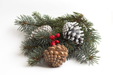 juniper & pine cones